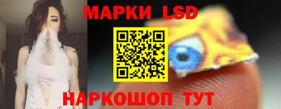 мяу мяу мука Гатчина
